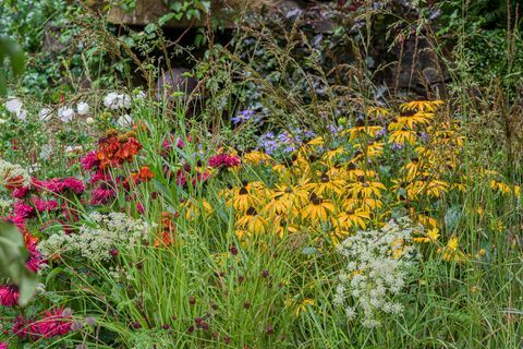 Garten zum 90-jährigen Jubiläum von Blindenhunden, entworfen von Adam Woolcott und Jonathan Smith, gesponsert von Blindenhunden für die Blind Association Artisan Garden RHS Chelsea Flower Show 2021, Stand Nr. 566