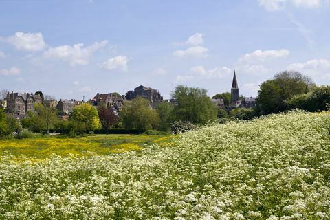 Die besten Spaziergänge in Cotswolds