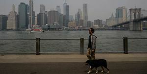 Mann geht bei schlechter Luftqualität mit seinem Hund spazieren