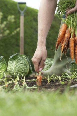 keine Gartenarbeit