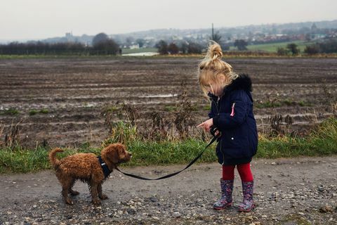 Kleines Mädchen mit Hund sprechen