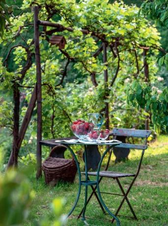 Ideen für Gartengrenzen