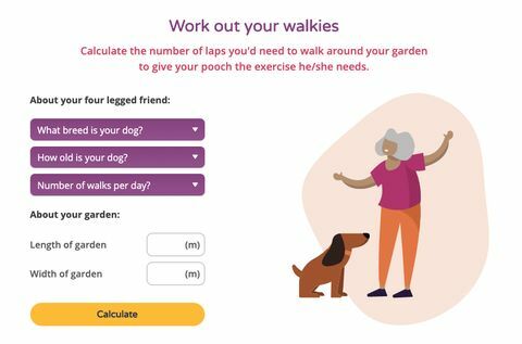 Dog Walking App in Lockdown