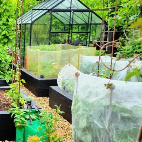 was tun im garten im juli