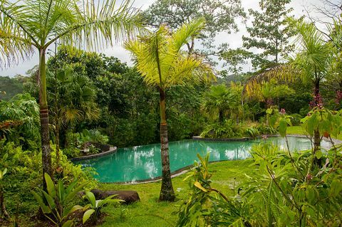 Blick auf den Pool in der Sarapiqui Regenwald Lodge in Virgen