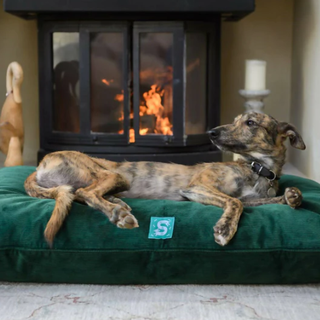 Cord Hundebett - Flasche