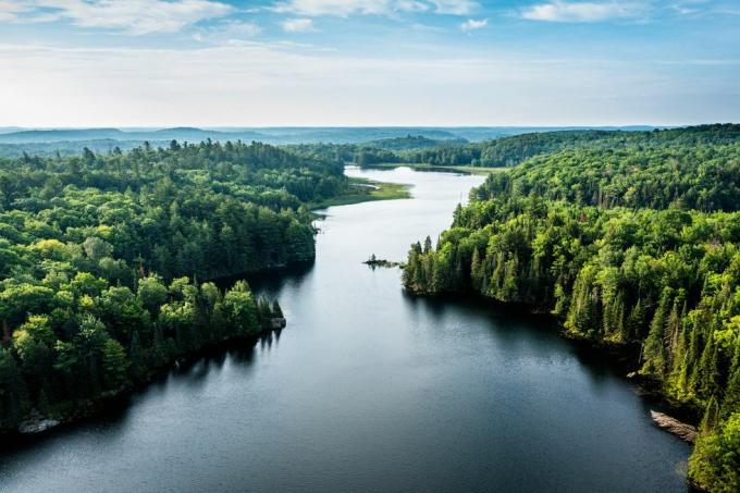 Natur Bildunterschriften