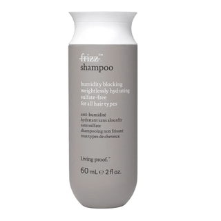 Kein Frizz-Shampoo