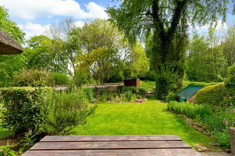 Geräumiger Gartenbereich mit bunten Blumen