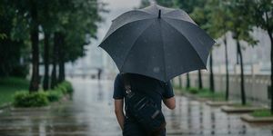 Rückansicht eines intelligenten, kausalen Mannes, der einen Regenschirm hält und durch den Park in einer regnerischen Stadt spaziert