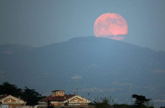 Rosa Mond über Rom