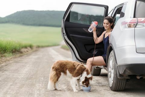 eine junge lateinische frau sitzt in ihrem auto mit offener tür auf einer straße auf dem land und ein hund trinkt wasser aus einer schüssel