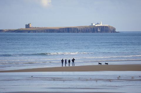 Farne-Inseln