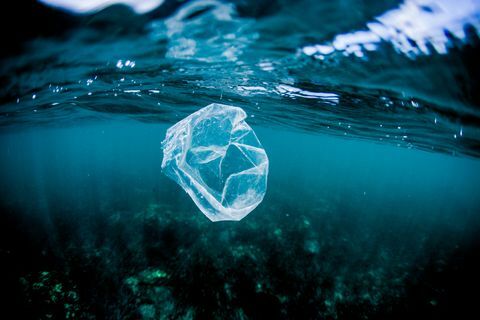 Plastiktüte schwimmt über Riff im Ozean, Costa Rica