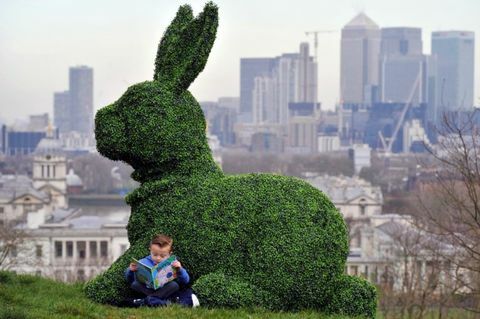 Agrumi - Topiary - Osterhasenheld