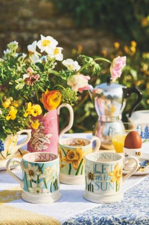 Emma Bridgewater Frühjahrskollektion