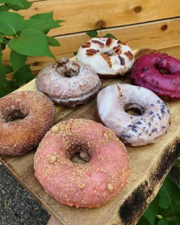 Heidelbeer-Donuts in der Küche des Farmhouse Inn in Felchen, Montana