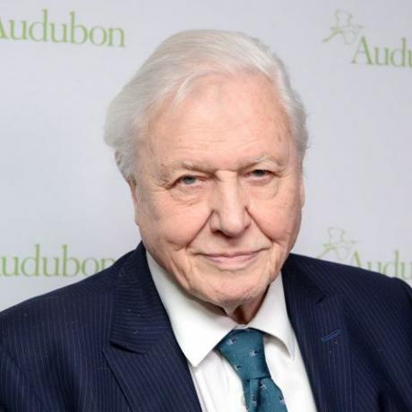 David Attenborough-Porträt