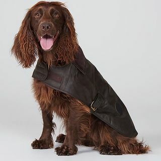 Barbour Gewachster Hundemantel, Dunkelbraun