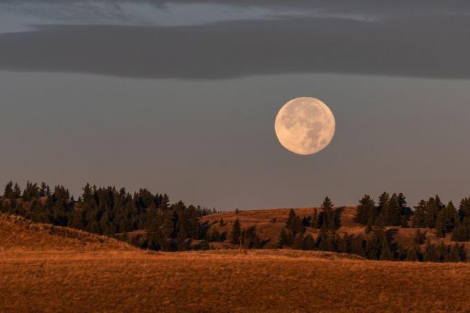 Erntemond über Ackerland in Kamloops, Britisch-Kolumbien, der Vollmond, der der Herbst-Tagundnachtgleiche und dem ersten Herbsttag am nächsten liegt