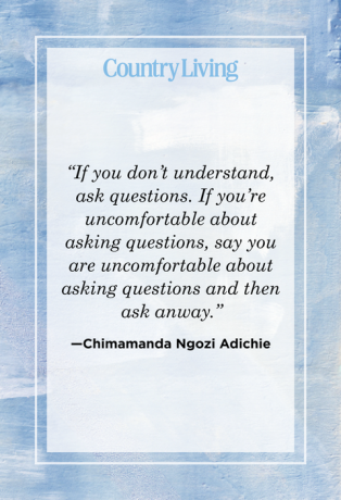 Chimamanda Ngozi Adichie Zitat