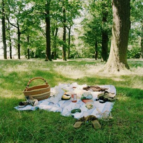 Picknick auf Gras in der Nähe von Bäumen