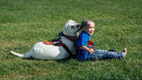 Tupper und Lego