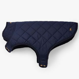 Joules Diamant gesteppter marineblauer Hundemantel