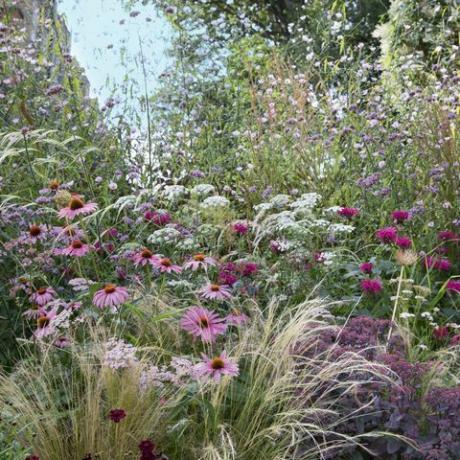 Bringen Sie Farbe in den Garten