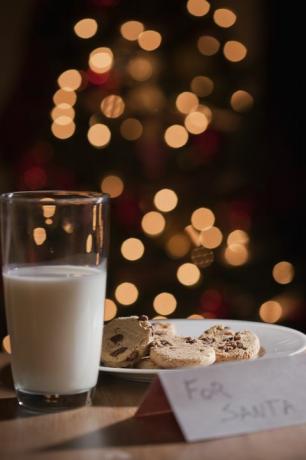 Glas Milch und Teller mit Keksen für Santa