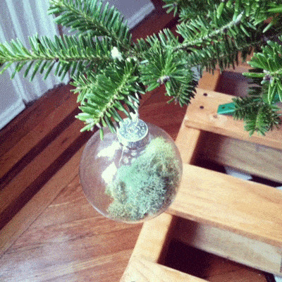 Terrarium Ornament