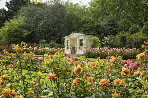 Die Gärten des Buckingham Palace werden in einem neuen Buch enthüllt
