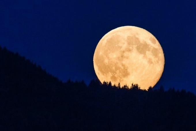 Supermond leuchtet vor blauem Himmel