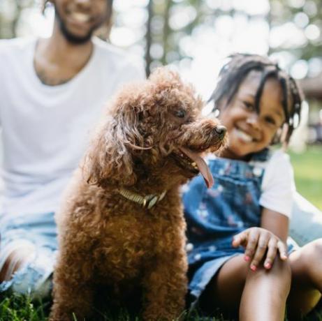 familie, die im park mit hund spielt