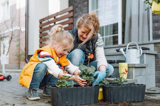 Großmutter und kleine Enkelin pflanzen im Frühling Blumen auf einer Veranda