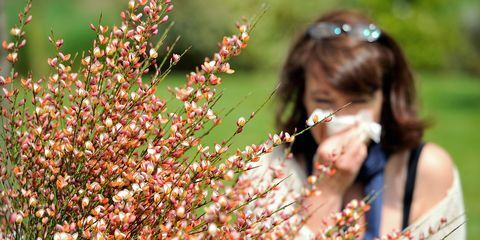 allergiesaison 2018 - wie lange wird es dauern