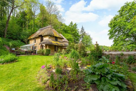 Geräumiger Gartenbereich mit bunten Blumen