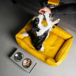 GELB Hundebett mit abnehmbarem Bezug helles Hundenest MUSTARD XS - XXL-Matte für Hund, Geschenk für Hundebesitzer