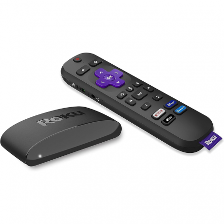 Express 4K mit Voice Remote Pro