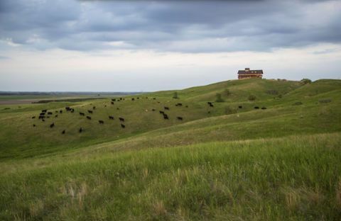 Couteau des Prairies Lodge in North Dakota