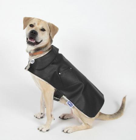 RSPCA Black Leather & Pearl Plüsch-Hundejacke - Weihnachtsgeschenk