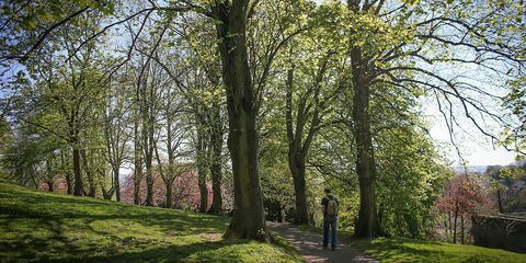 Bemannen Sie das Gehen entlang Weg im Park in Brandon Hill, Bristol