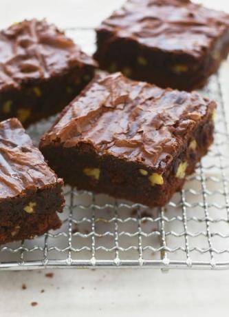 Katharine Hepburn Brownies