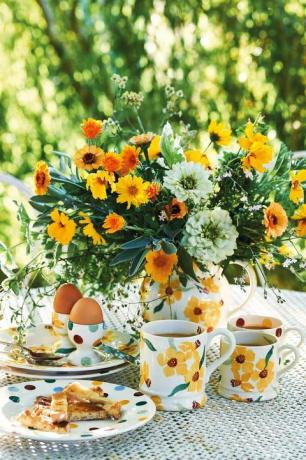 Emma Bridgewater neue Frühlingskollektion