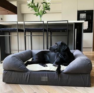 Das Liegebett Hundebett