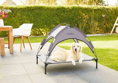 Pünktlich zum Sommer bringt lidl ein neues Sonnenbett für Hunde auf den Markt