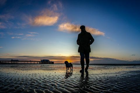 Mann, der mit Hund auf sandigem Strand geht