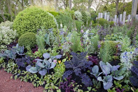 Begleiter, der im Garten pflanzt