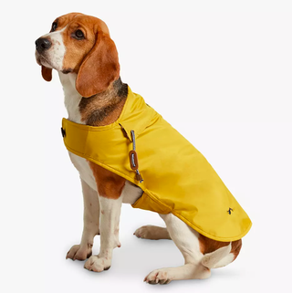 Joules Senf Regenmantel für Hunde