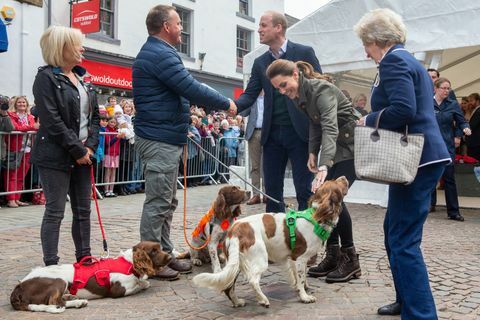 Der Herzog und die Herzogin von Cambridge treffen Rettungshund Harry